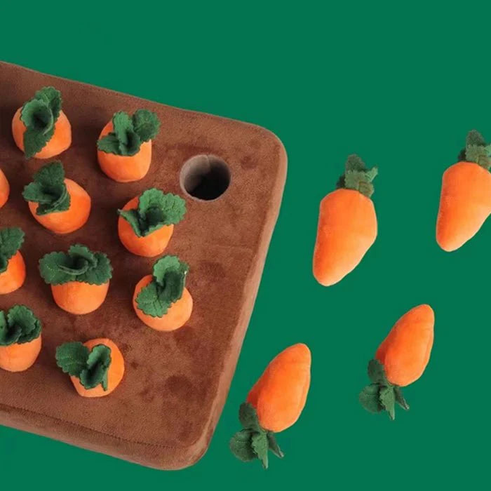 Ultra-soft Carrot Best Plush Toys