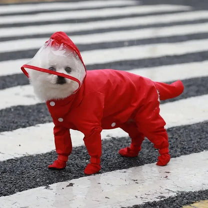 Raincoat & Boots - The Zoo Mart