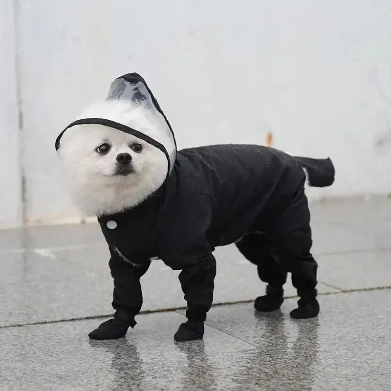 Raincoat & Boots - The Zoo Mart